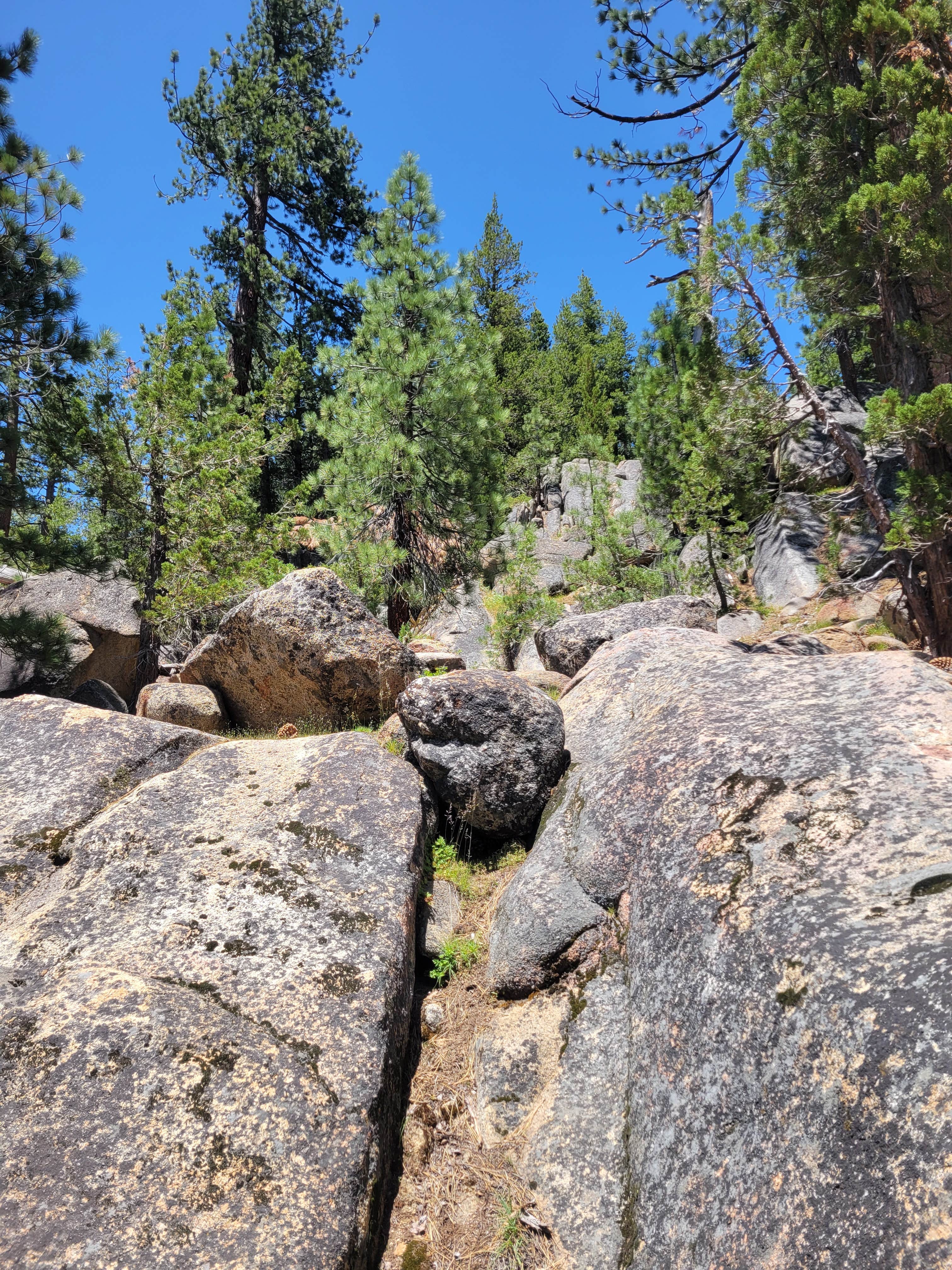 Camper submitted image from Hermit Valley Campground - 1