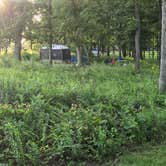 Review photo of Hermitage Area Campground — Pomme de Terre State Park by MCB , June 24, 2025