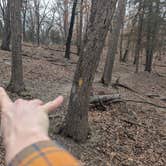 Review photo of Hermitage Area Campground — Pomme de Terre State Park by Nathan P., March 15, 2025