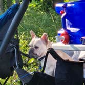 Review photo of Hermitage Area Campground — Pomme de Terre State Park by MCB , June 24, 2025