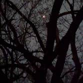 Review photo of Hermitage Area Campground — Pomme de Terre State Park by Nathan P., March 15, 2025