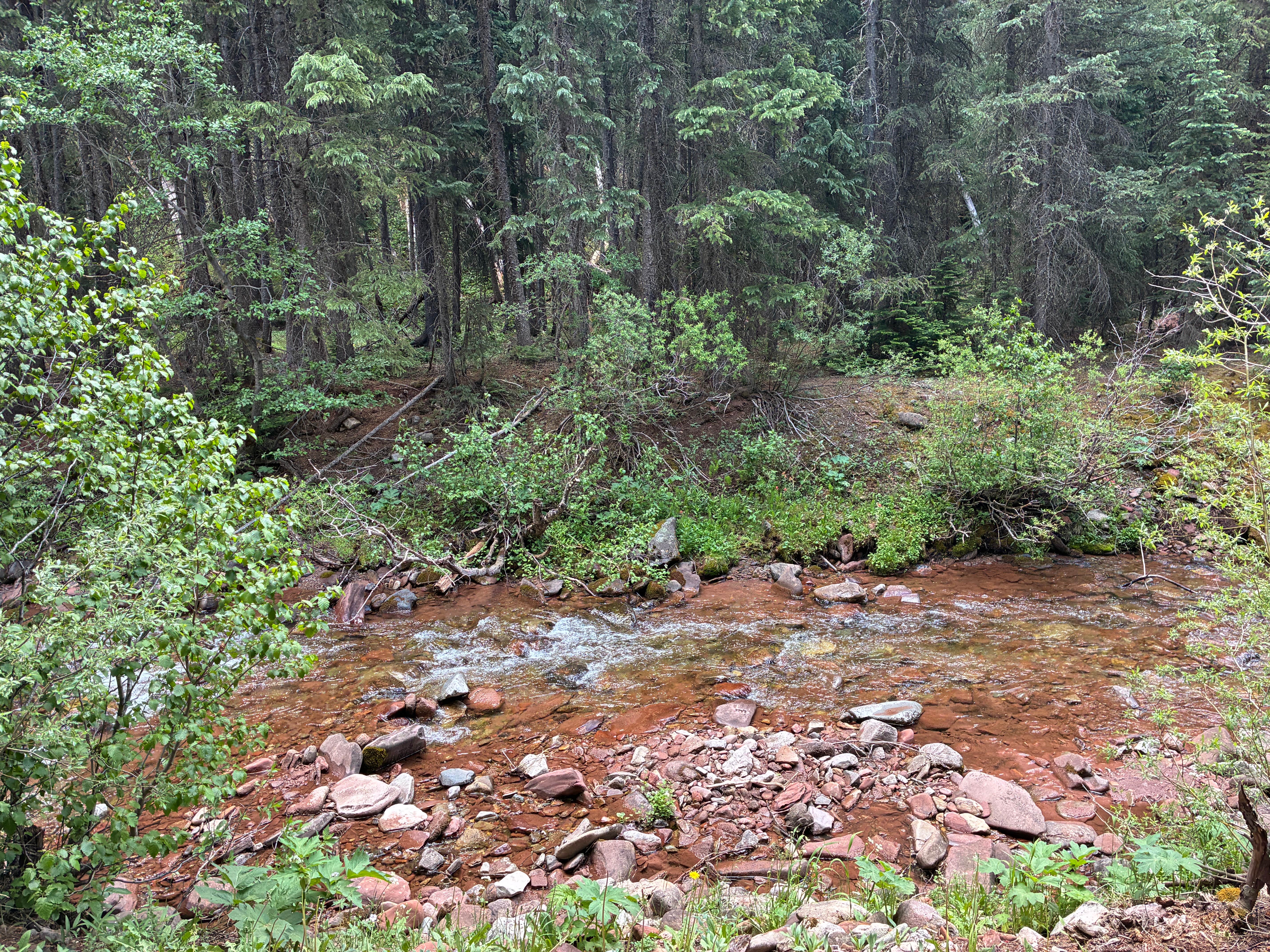 Camping near Hermosa Park Road Dispersed: Hermosa Creek, Rico, Colorado