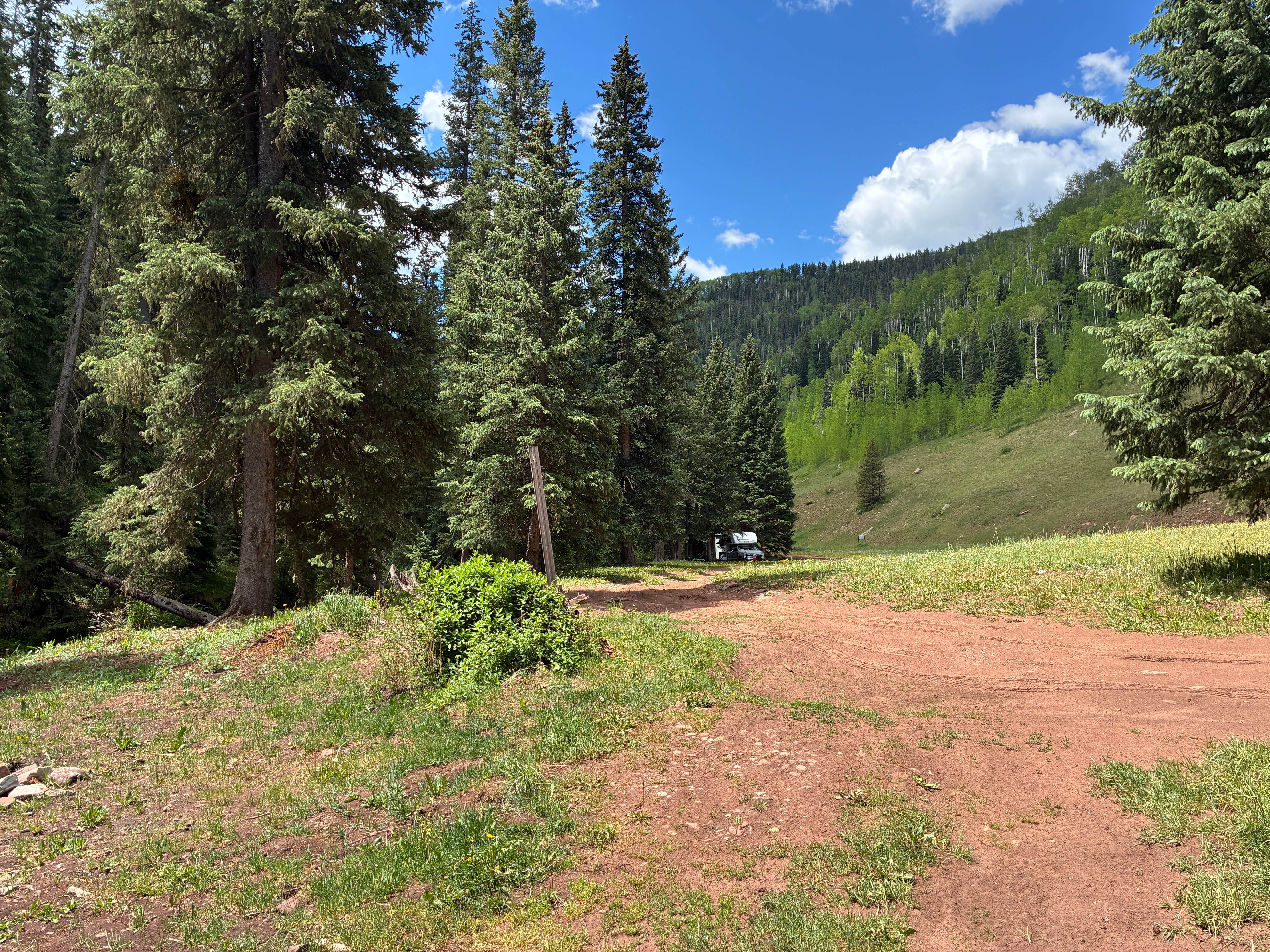 Camper-submitted photo at Hermosa Creek near Rico, CO