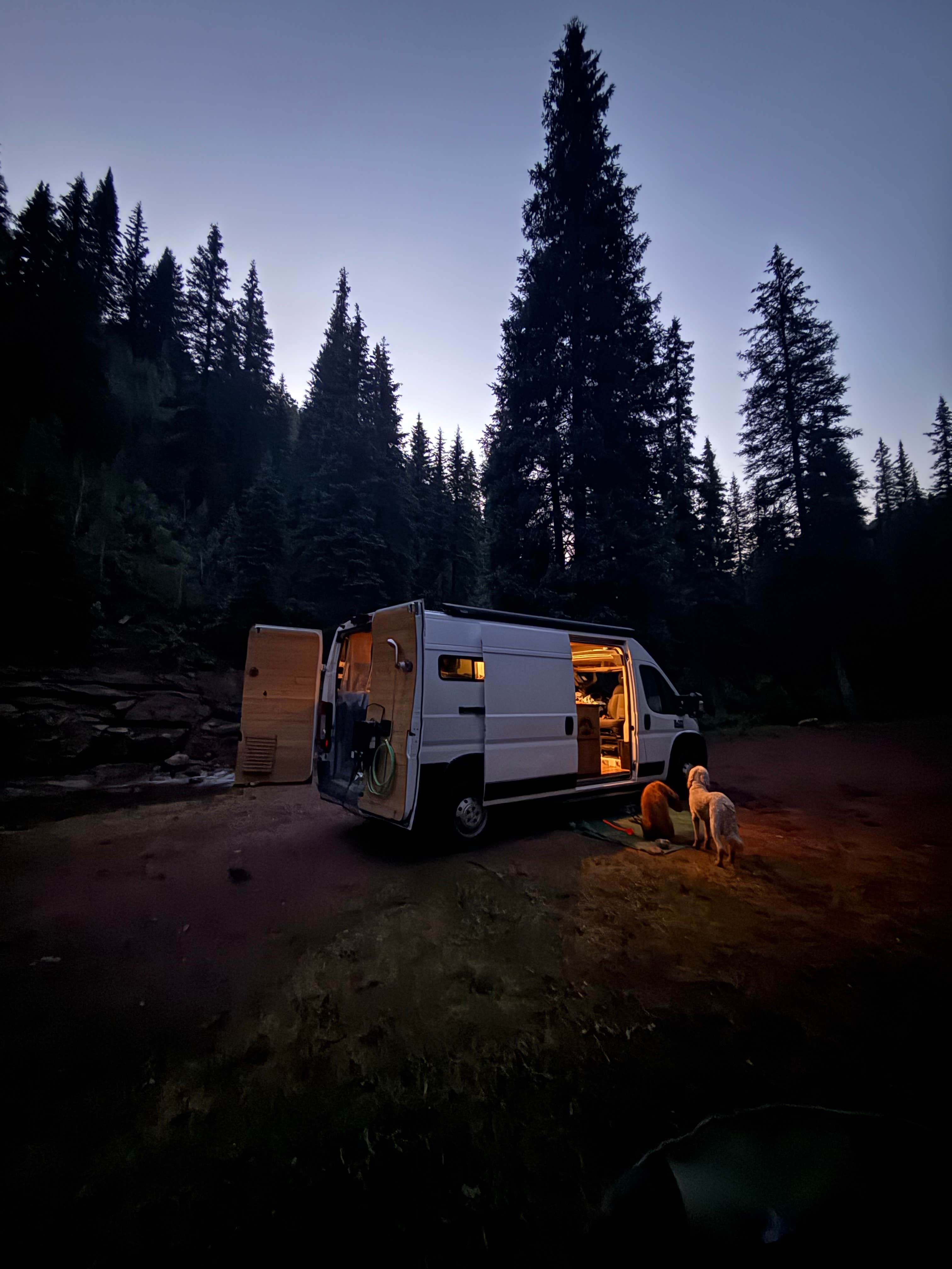 Vanessa C.'s photo of camping with pets at Hermosa Park Road Dispersed near San Juan National Forest
