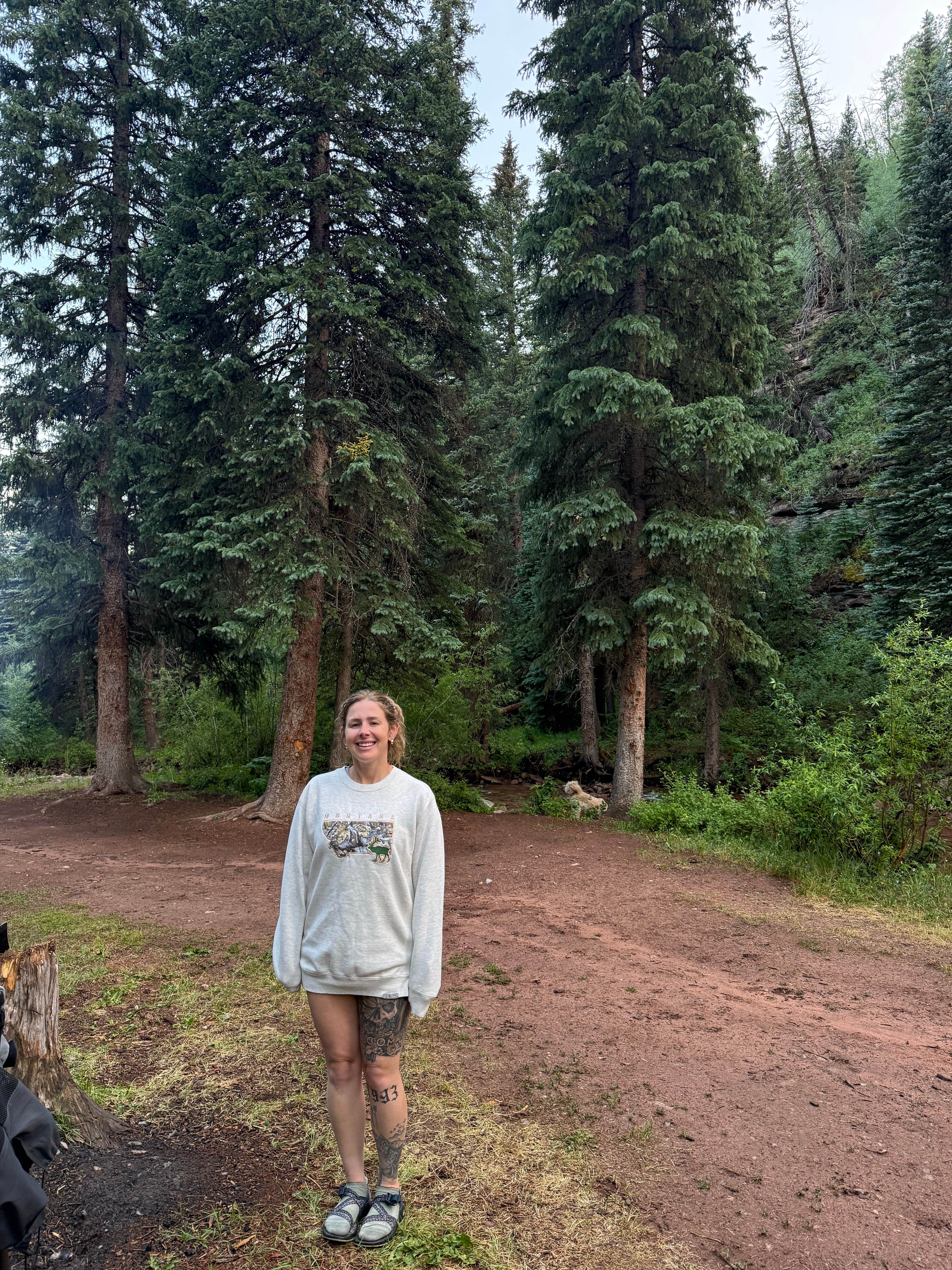 Vanessa C.'s photo of camping with pets at Hermosa Park Road Dispersed near Rico, CO