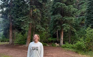 Vanessa C.'s photo of camping with pets at Hermosa Park Road Dispersed near San Juan National Forest