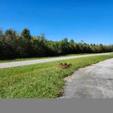 Review photo of Herod, IL Shawnee National Forest by Rodarius S., October 9, 2024