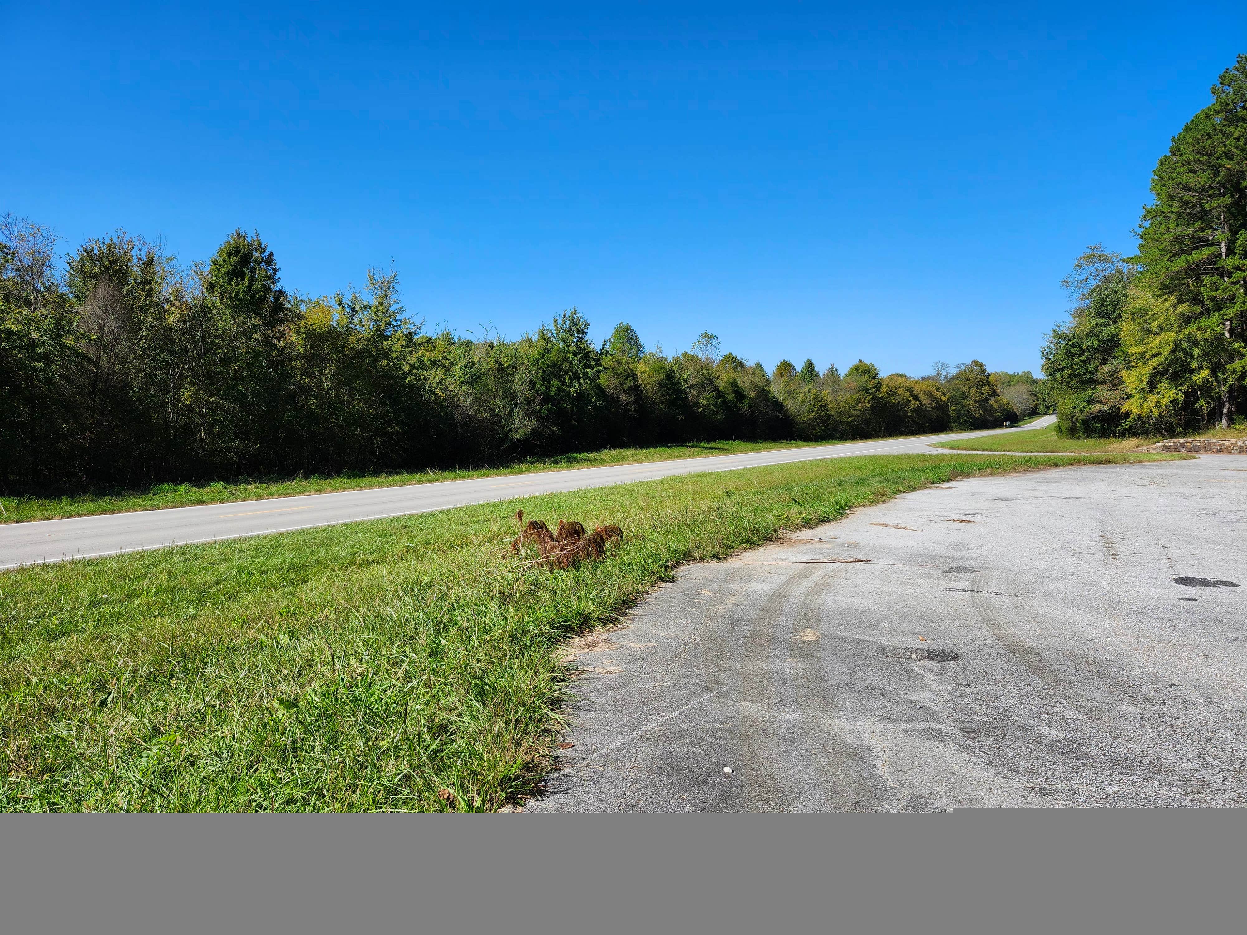 Camper submitted image from Herod, IL Shawnee National Forest - 3