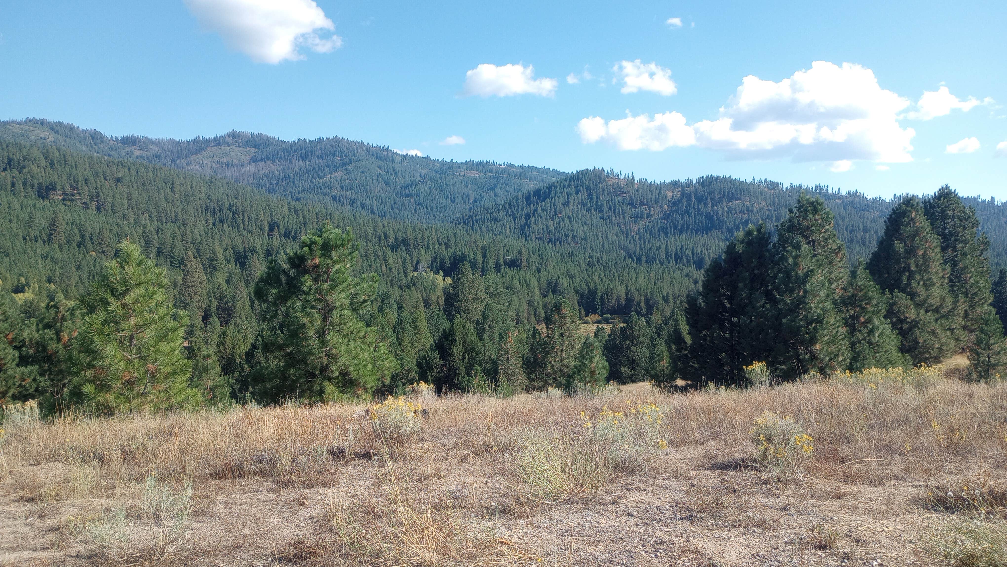 Camping near Sagehen Creek: Herrick Reservoir Access, Cascade, Idaho