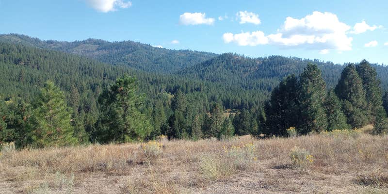 Camper submitted image from Herrick Reservoir Access