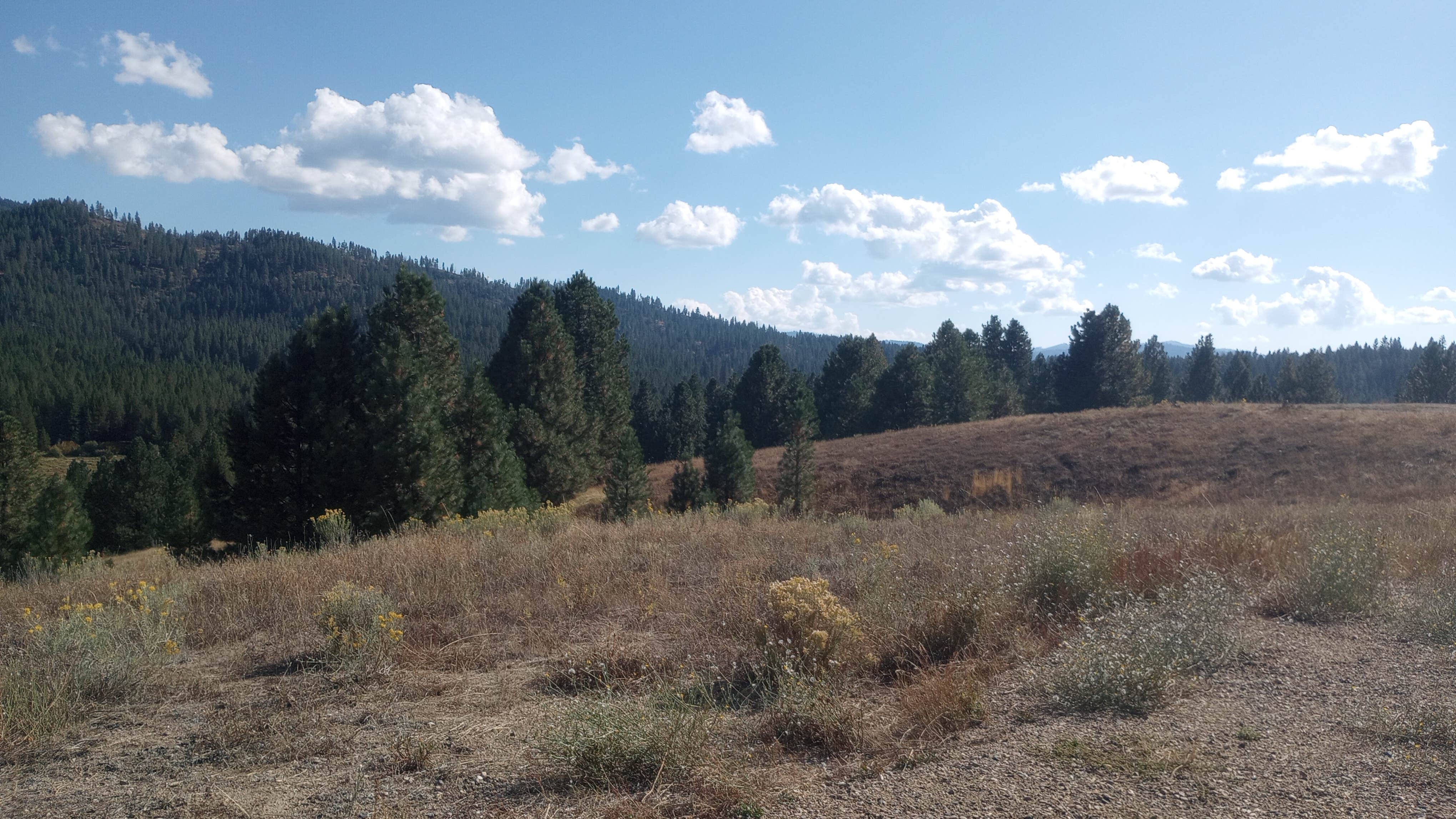 Camper-submitted photo at Herrick Reservoir Access near Banks, ID