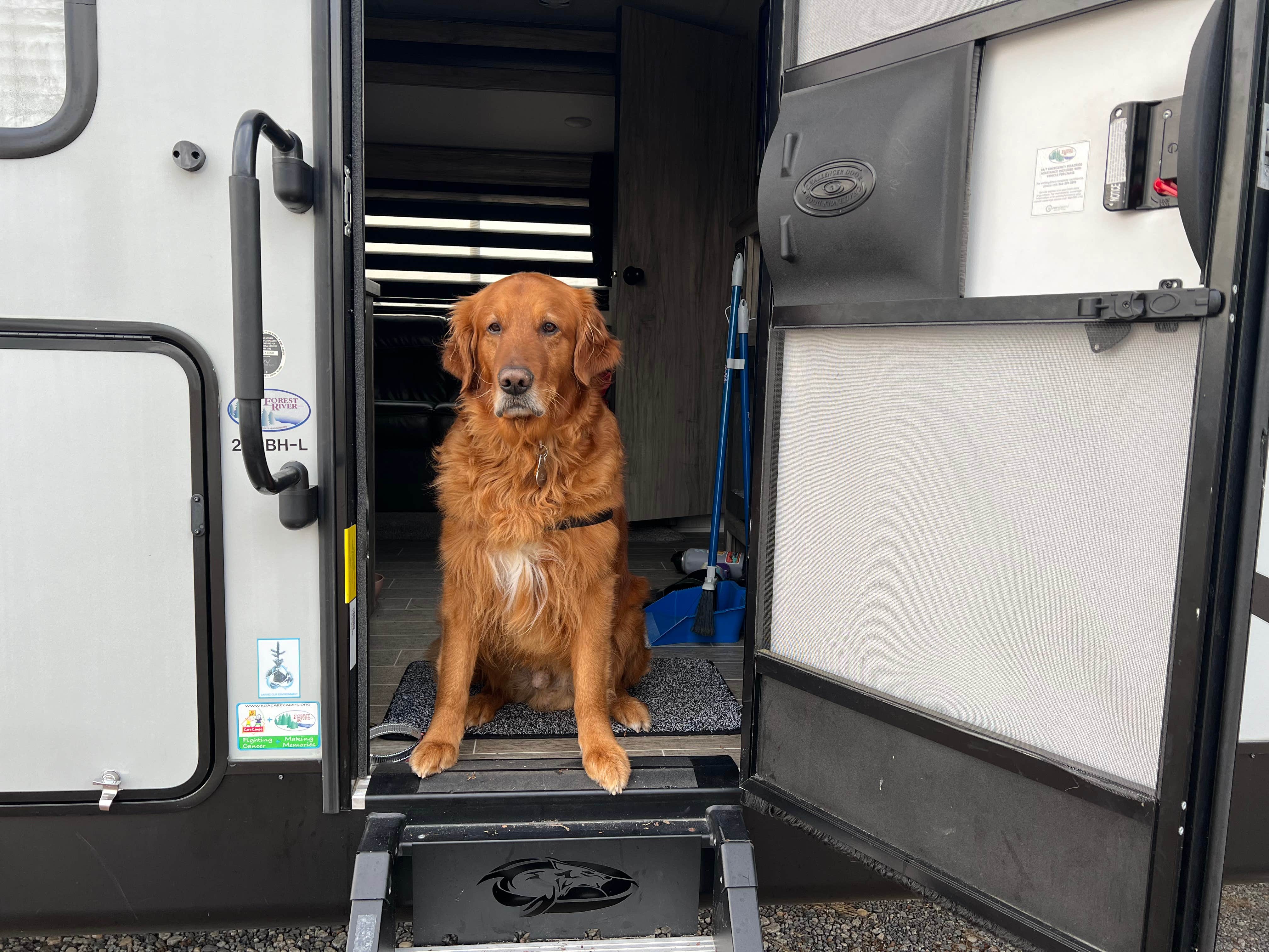 Brandon L.'s photo of camping with pets at Hersheypark Camping Resort near York, PA