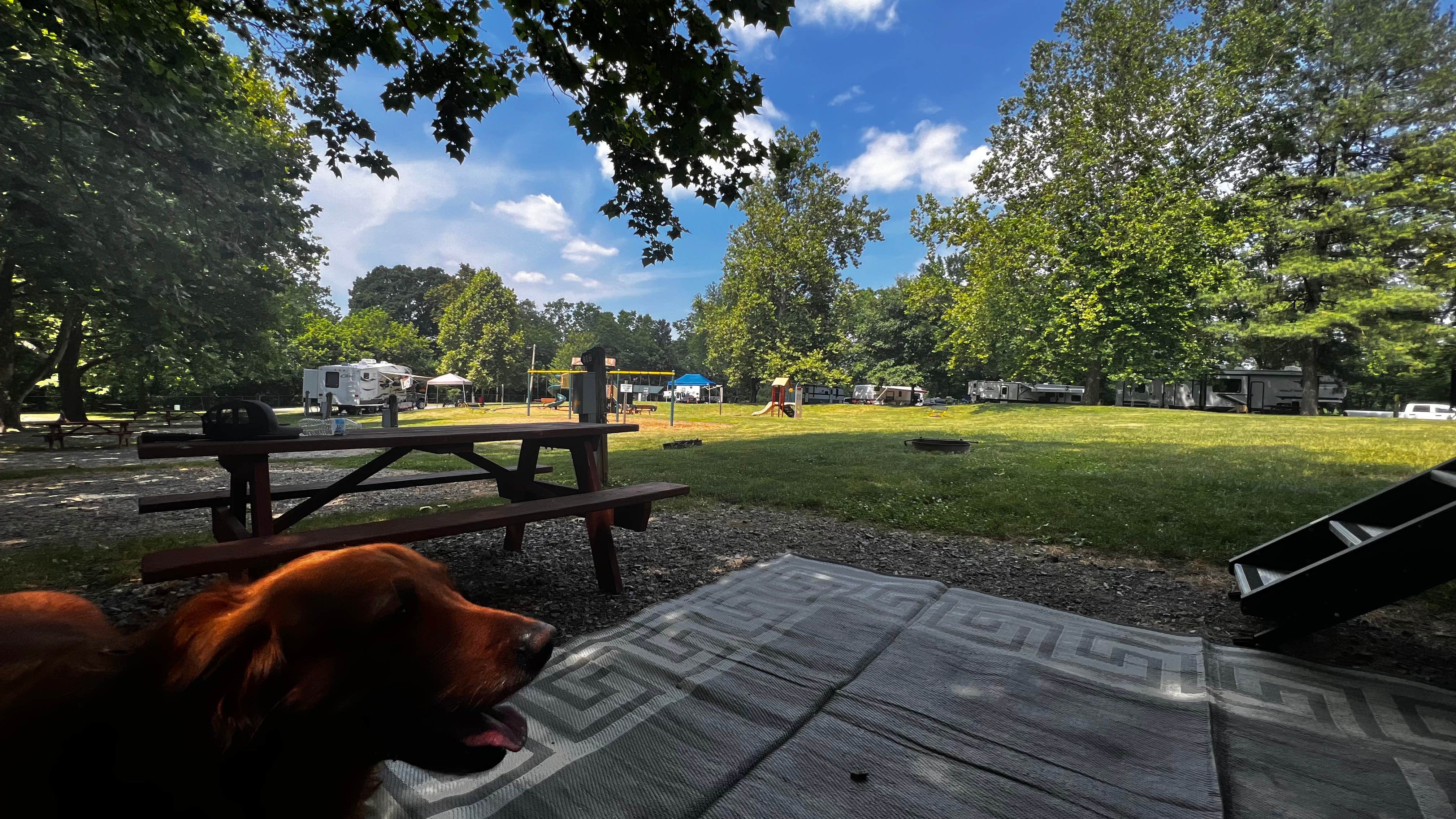 Brandon L.'s photo of camping with pets at Hersheypark Camping Resort near York, PA
