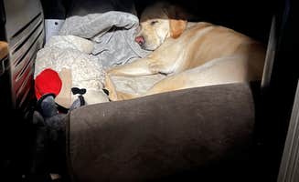 Jennifer N.'s photo of camping with pets at Thousand Trails Hershey near Harrisburg, PA