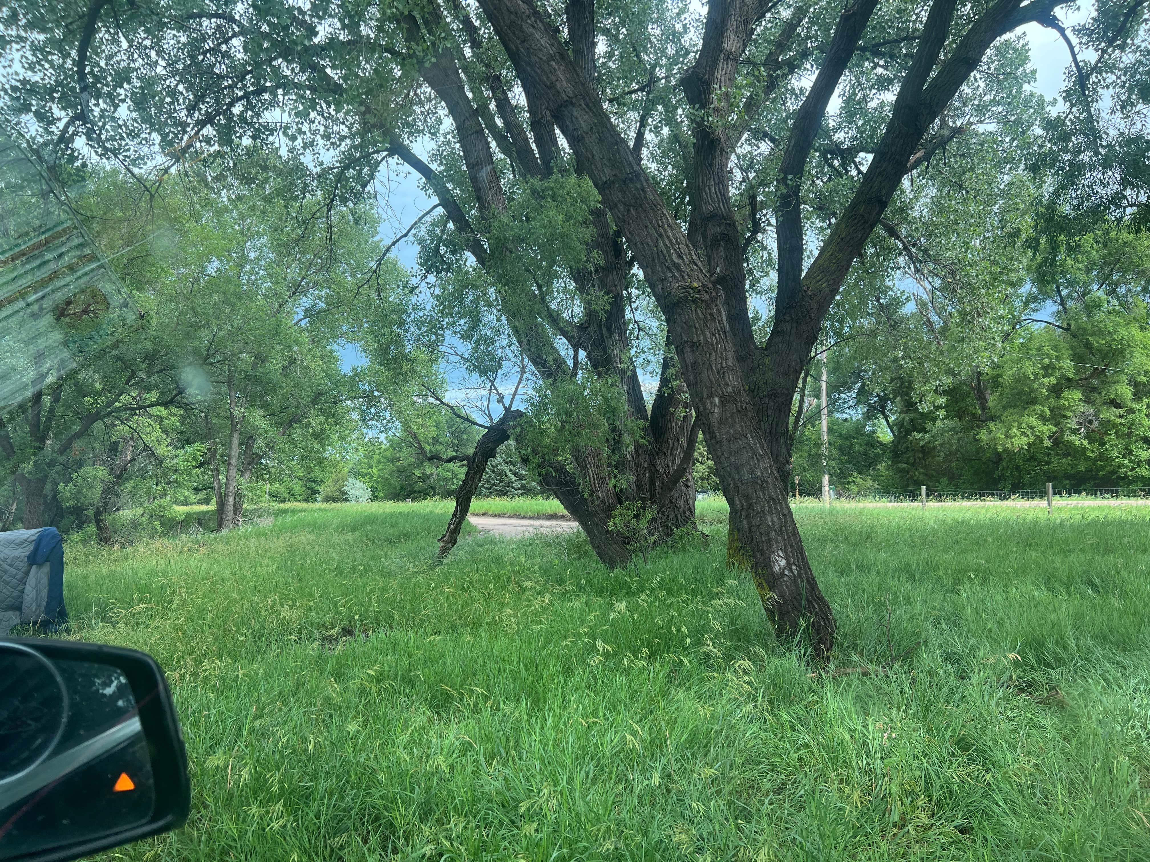 Camper-submitted photo at Hershey Wildlife Management Area near North Platte, NE