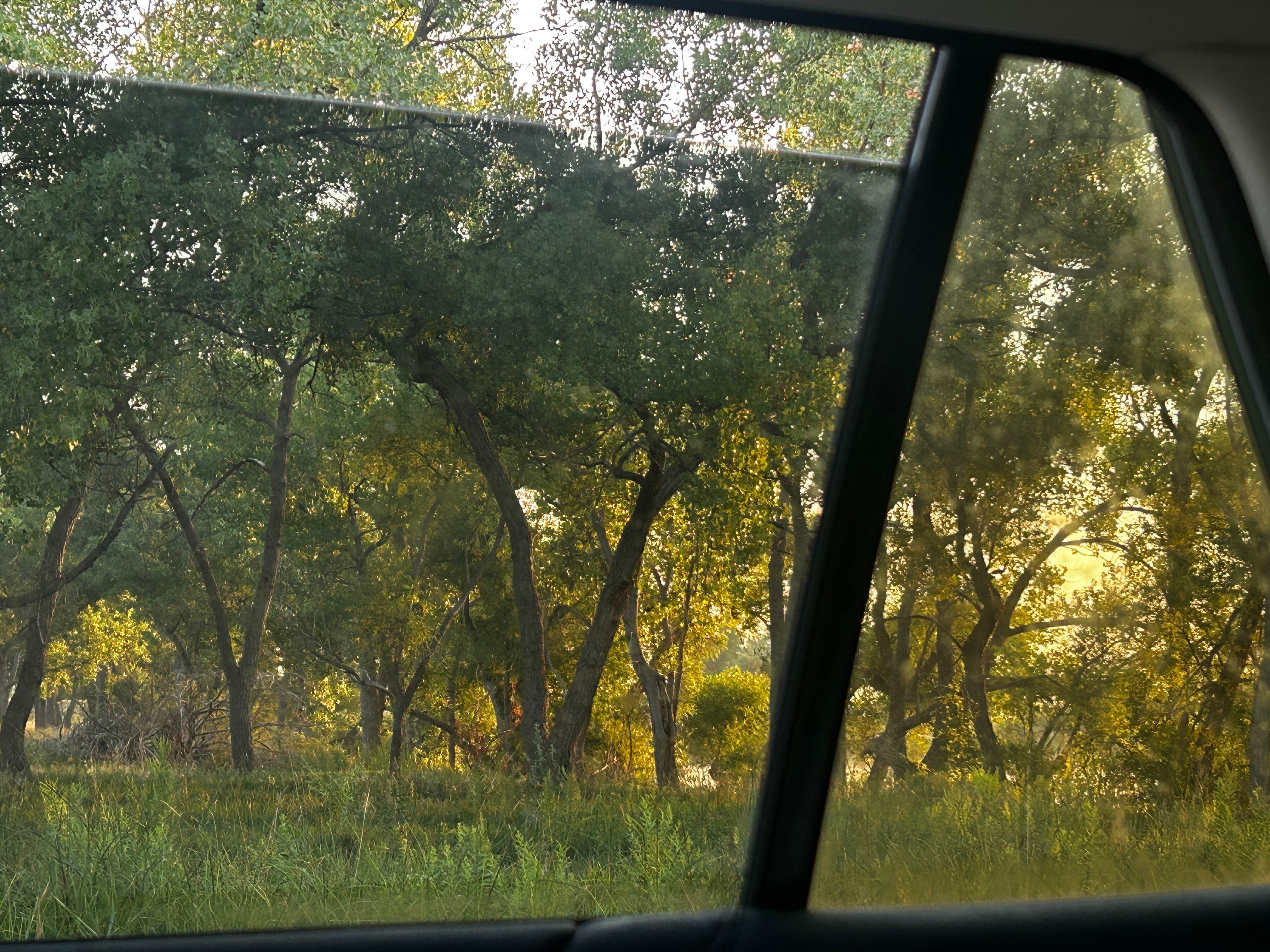 Camper-submitted photo at Hershey Wildlife Management Area near North Platte, NE