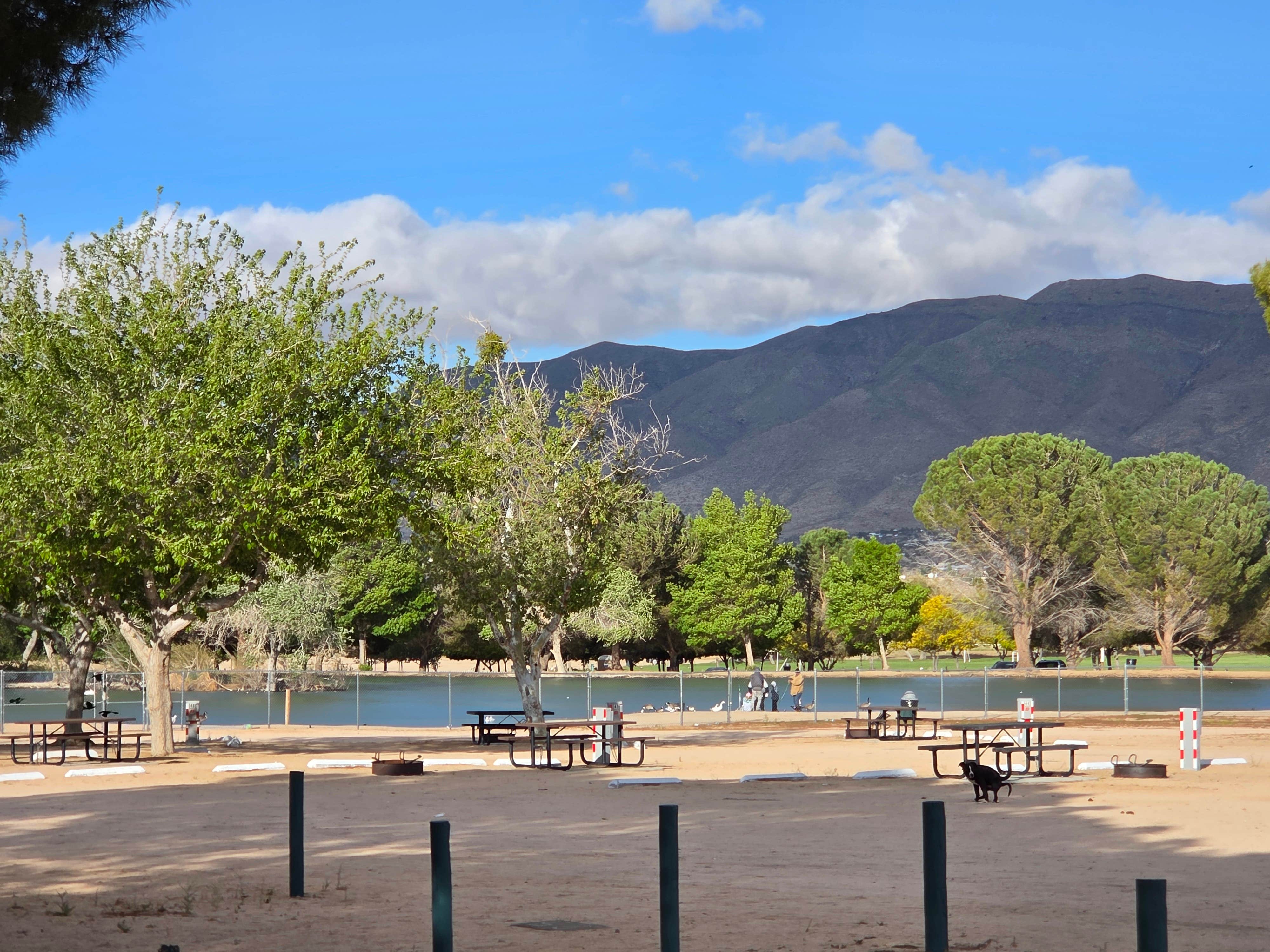 Camper submitted image from Hesperia Lake Park and Campground City Park - 1