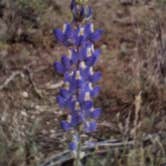 Review photo of Hewitt Station by Vidalia S., March 3, 2026