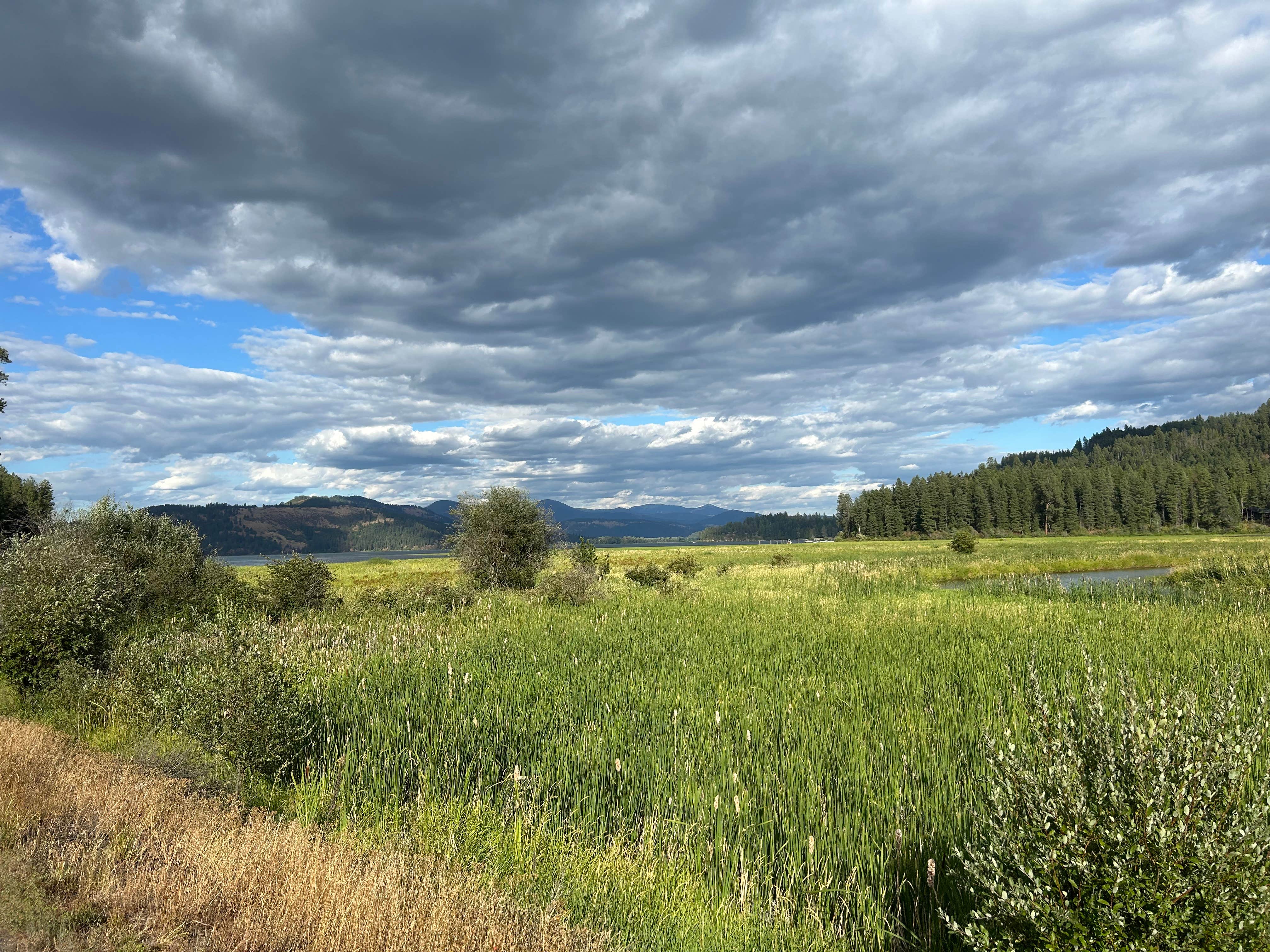 Camper submitted image from Chatcolet Campground — Heyburn State Park - 1
