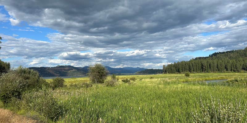 Camper submitted image from Chatcolet Campground — Heyburn State Park