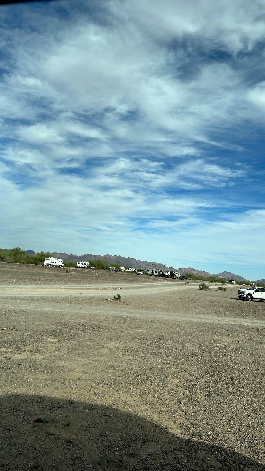 Camper-submitted photo at Hi Jolly dispersed campground near Wenden, AZ