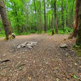 Review photo of Hickey Gap (Cohutta WMA) by Bob P., April 17, 2024