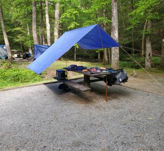 Camper-submitted photo from Hickey Gap (Cohutta WMA)