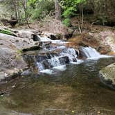 Review photo of Hickey Gap (Cohutta WMA) by Bob P., April 17, 2024