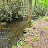 Review photo of Hickey Gap (Cohutta WMA) by Bob P., April 17, 2024