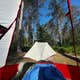 Hickey Marsh Dispersed Camping
