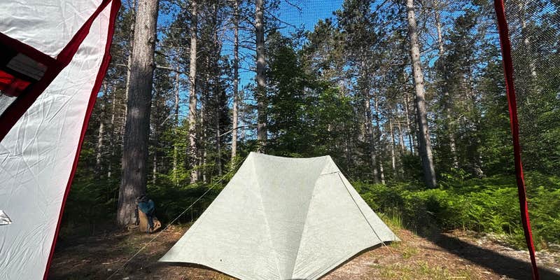 Camper submitted image from Hickey Marsh Dispersed Camping