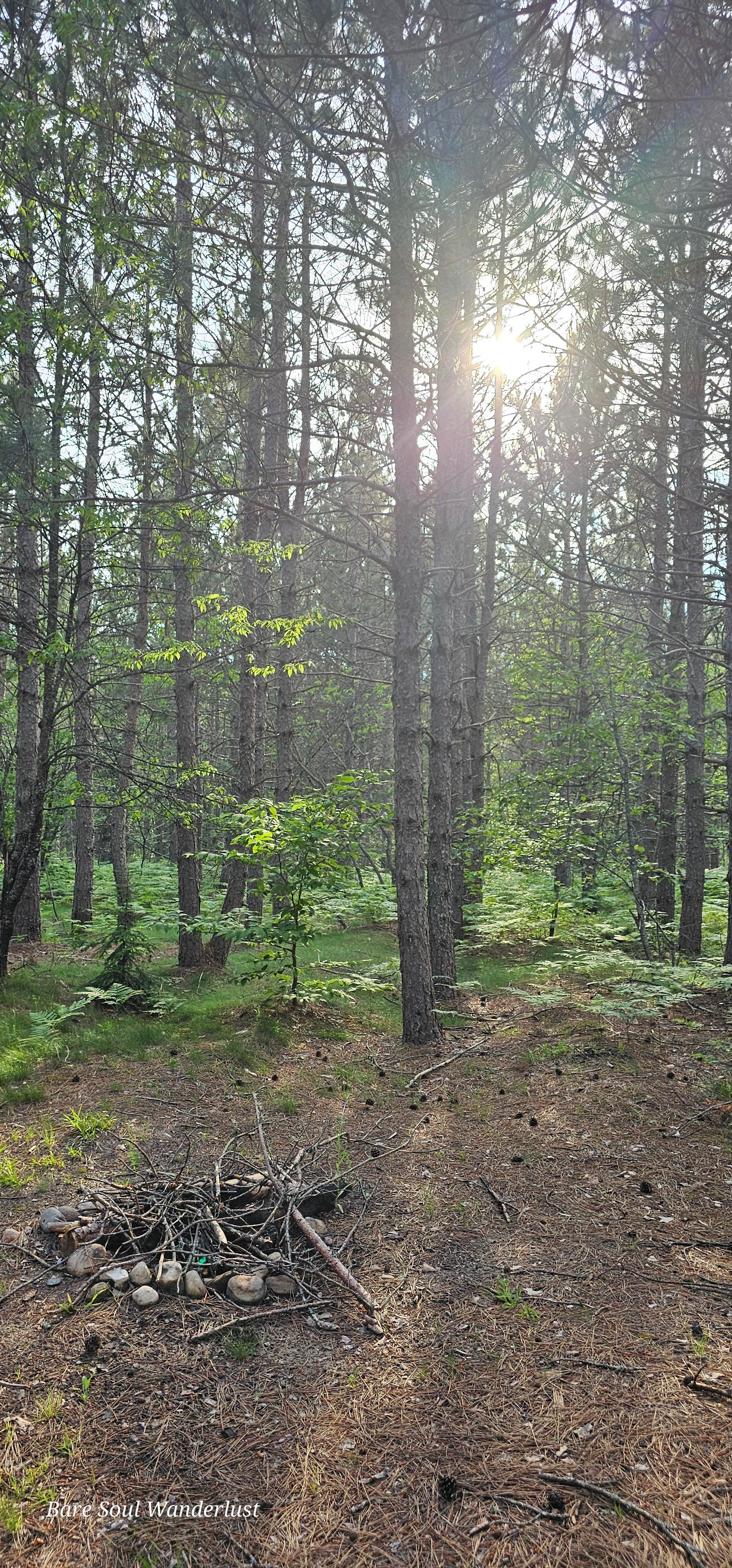 Camper-submitted photo at Hickey Marsh Dispersed Camping near Eben Junction, MI