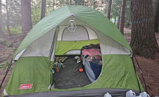 Gregg T.'s photo of a dispersed camping area at Hickok Brook near Pittston, PA