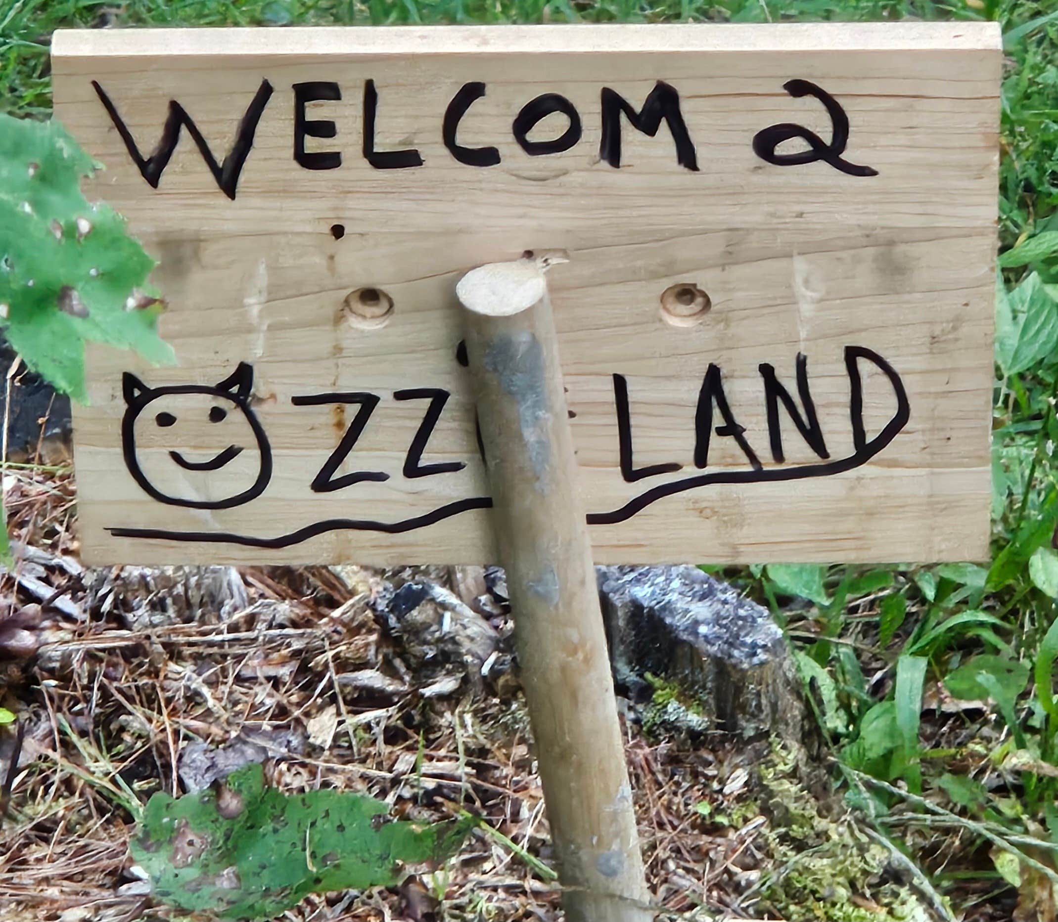 Camper-submitted photo at Hickok Brook near Cornwall-on-Hudson, NY