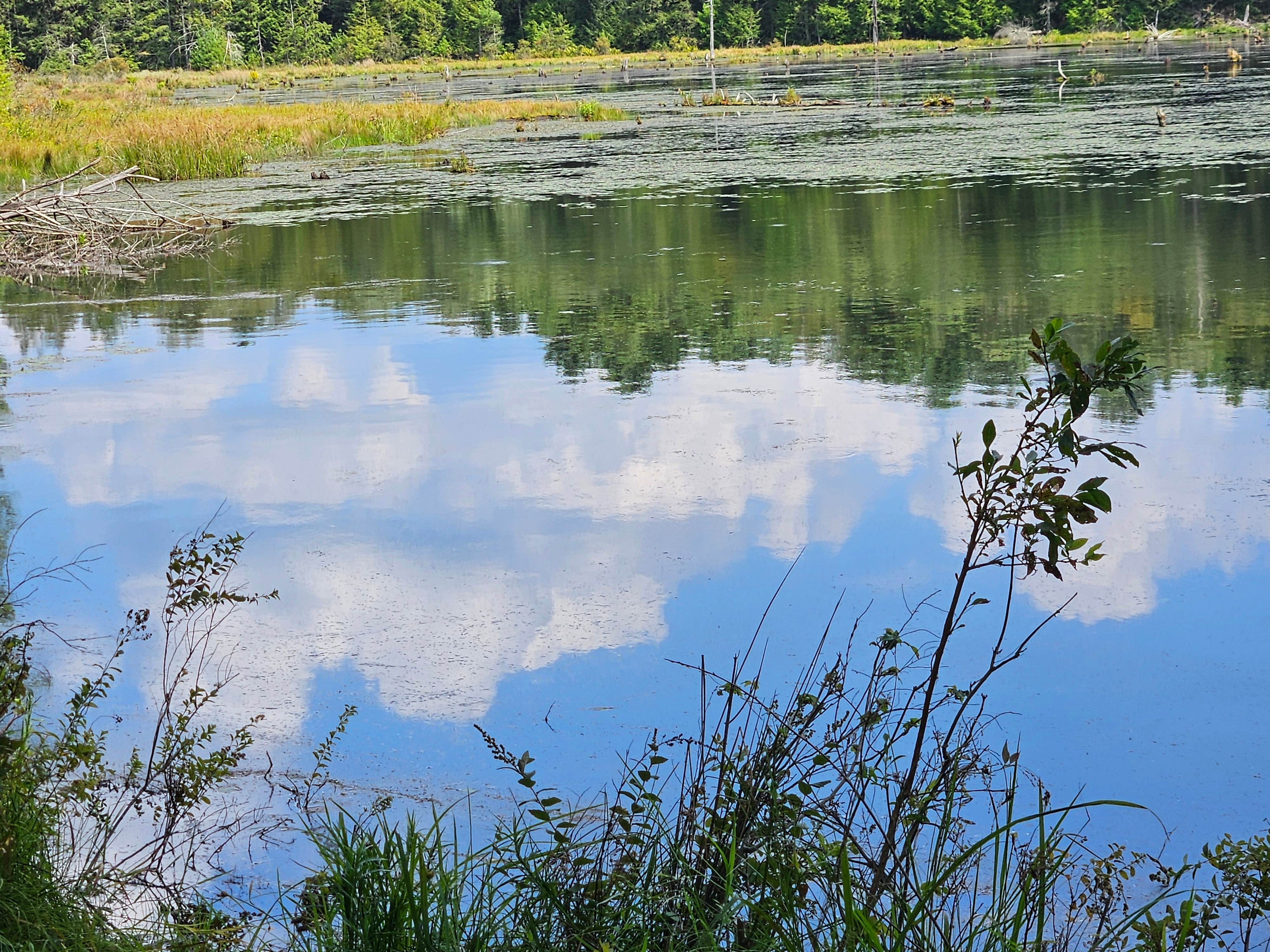 Gregg T.'s photo of a dispersed camping area at Hickok Brook near Cornwall-on-Hudson, NY