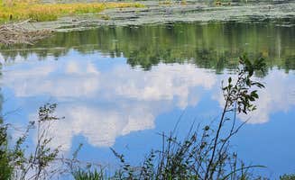 Gregg T.'s photo of a dispersed camping area at Hickok Brook near Tuxedo Park, NY