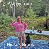 Review photo of Hickok Brook by Gregg T., August 26, 2024