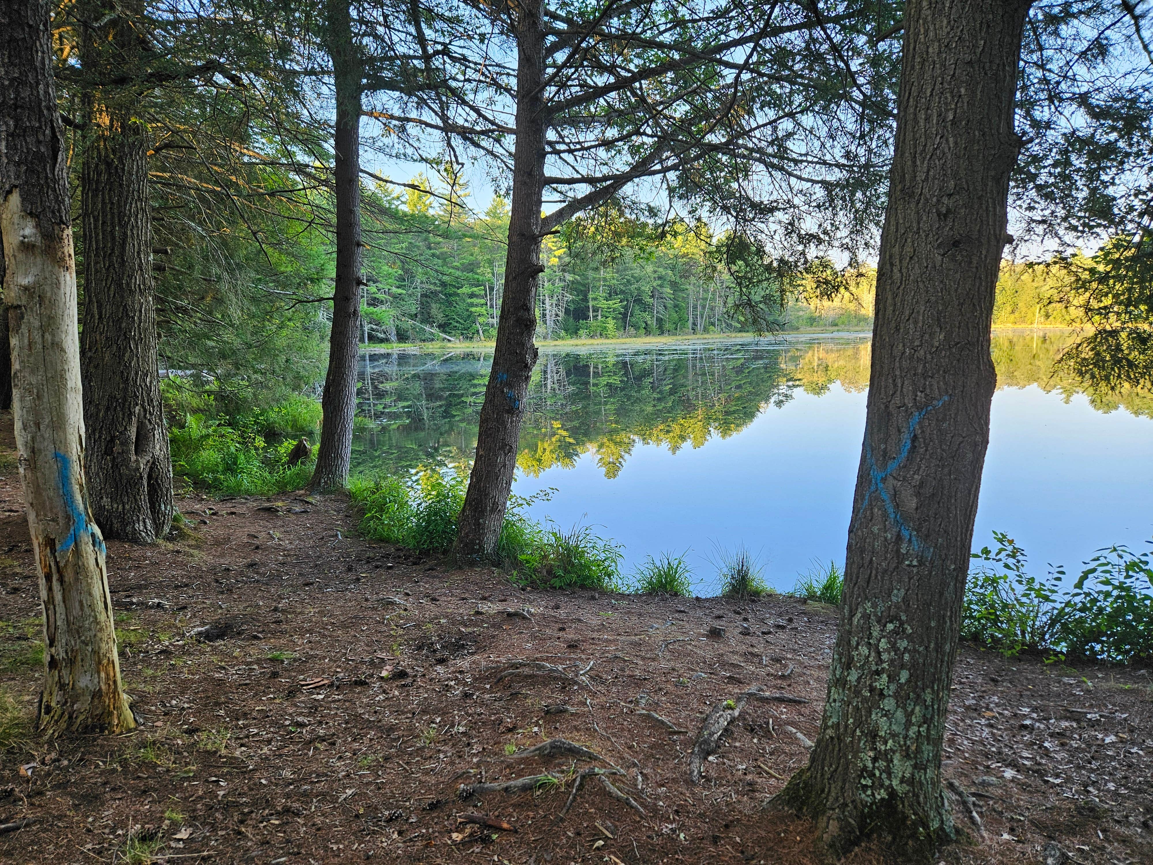 Camper submitted image from Hickok Brook - 5