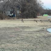 Review photo of Hickory Creek - Lewisville Lake by Keith T., February 20, 2026