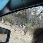 Review photo of Hickory Creek - Lewisville Lake by Keith T., February 20, 2026