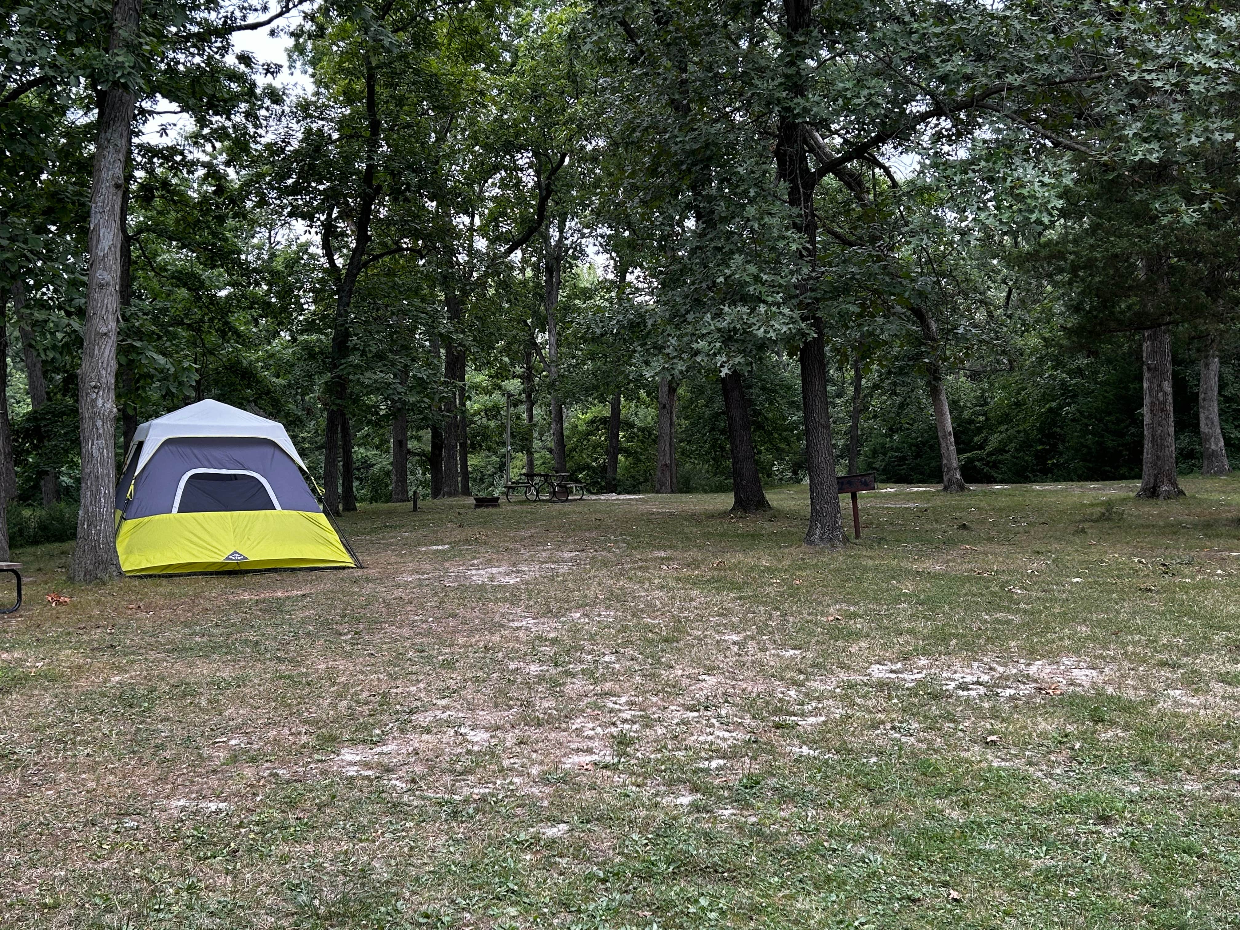 Camper submitted image from Hickory Haven Campground - 1