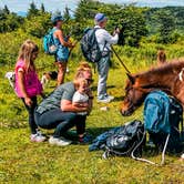 Review photo of Hickory Ridge Campground — Grayson Highlands State Park by Chaz M., April 29, 2024