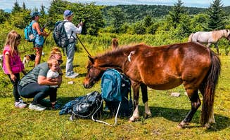 Chaz M.'s photo of camping with pets at Hickory Ridge Campground — Grayson Highlands State Park near Blue Ridge Parkway