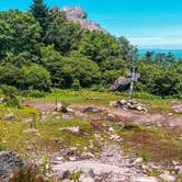 Review photo of Hickory Ridge Campground — Grayson Highlands State Park by Chaz M., April 29, 2024