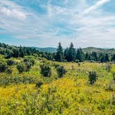 Review photo of Hickory Ridge Campground — Grayson Highlands State Park by Chaz M., April 29, 2024