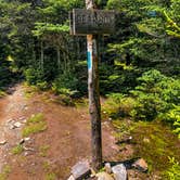 Review photo of Hickory Ridge Campground — Grayson Highlands State Park by Chaz M., April 29, 2024