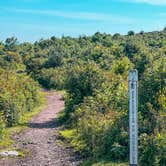 Review photo of Hickory Ridge Campground — Grayson Highlands State Park by Chaz M., April 29, 2024