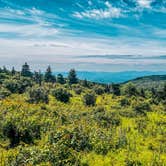 Review photo of Hickory Ridge Campground — Grayson Highlands State Park by Chaz M., April 29, 2024