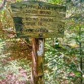 Review photo of Hickory Ridge Campground — Grayson Highlands State Park by Chaz M., April 29, 2024