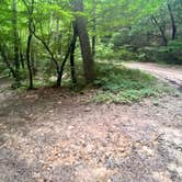 Review photo of Hidden Creek Campground by Robyn W., June 1, 2024